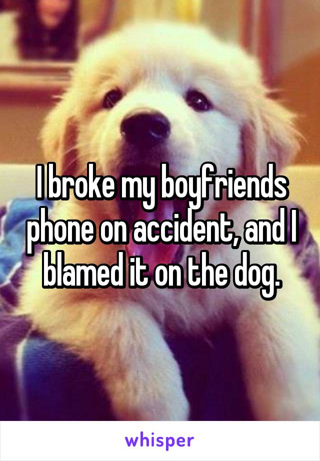 I broke my boyfriends phone on accident, and I blamed it on the dog.