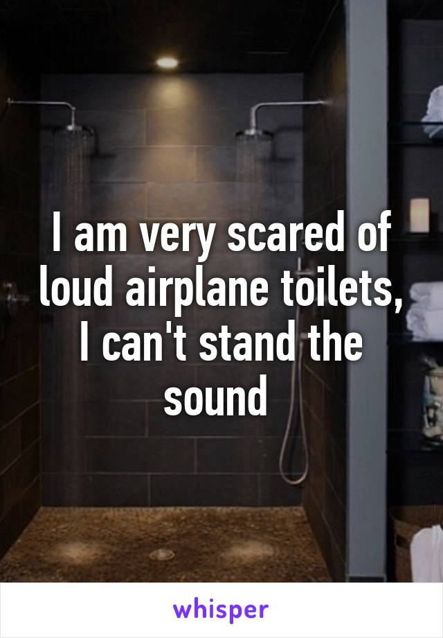 I am very scared of loud airplane toilets, I can't stand the sound 