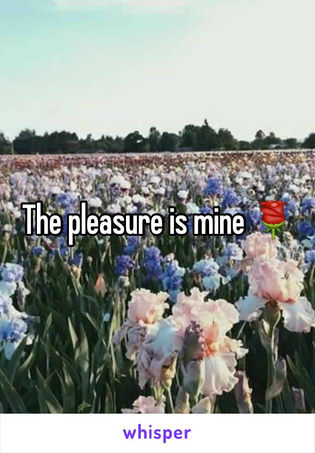 The pleasure is mine 🌹