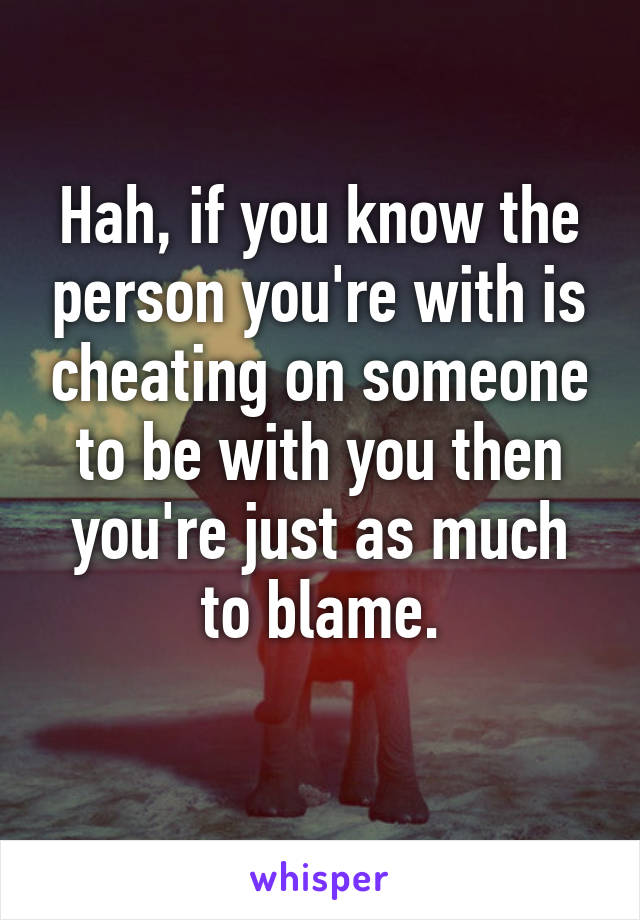 Hah, if you know the person you're with is cheating on someone to be with you then you're just as much to blame.
