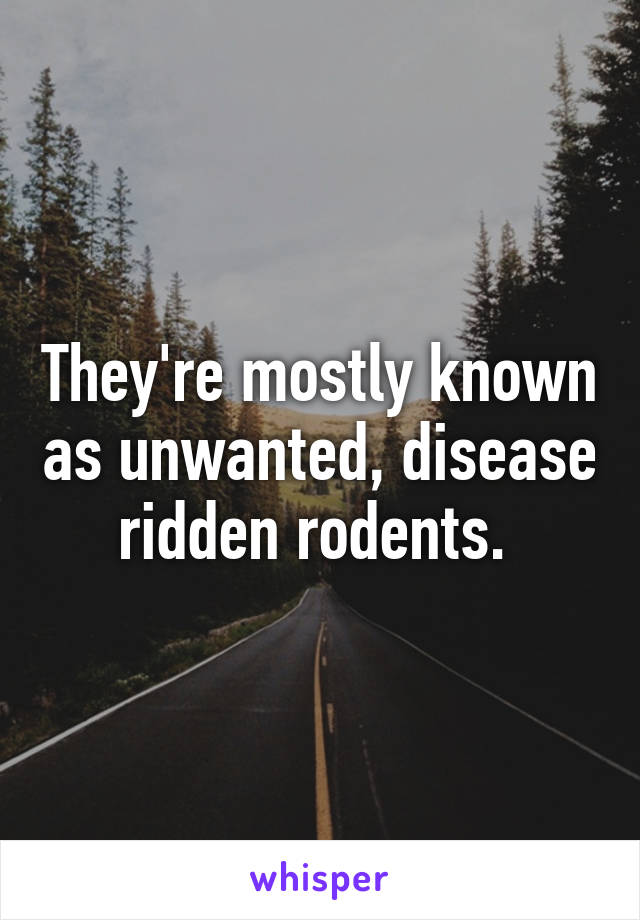 They're mostly known as unwanted, disease ridden rodents. 