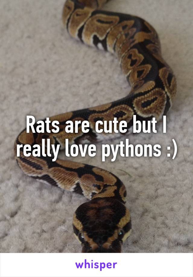 Rats are cute but I really love pythons :)