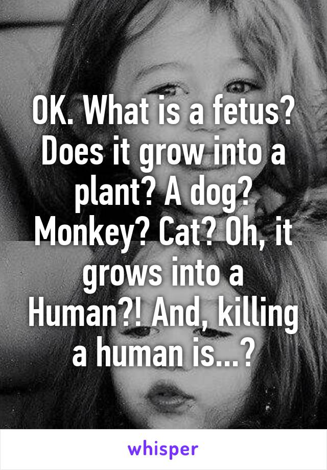 OK. What is a fetus? Does it grow into a plant? A dog? Monkey? Cat? Oh, it grows into a Human?! And, killing a human is...?