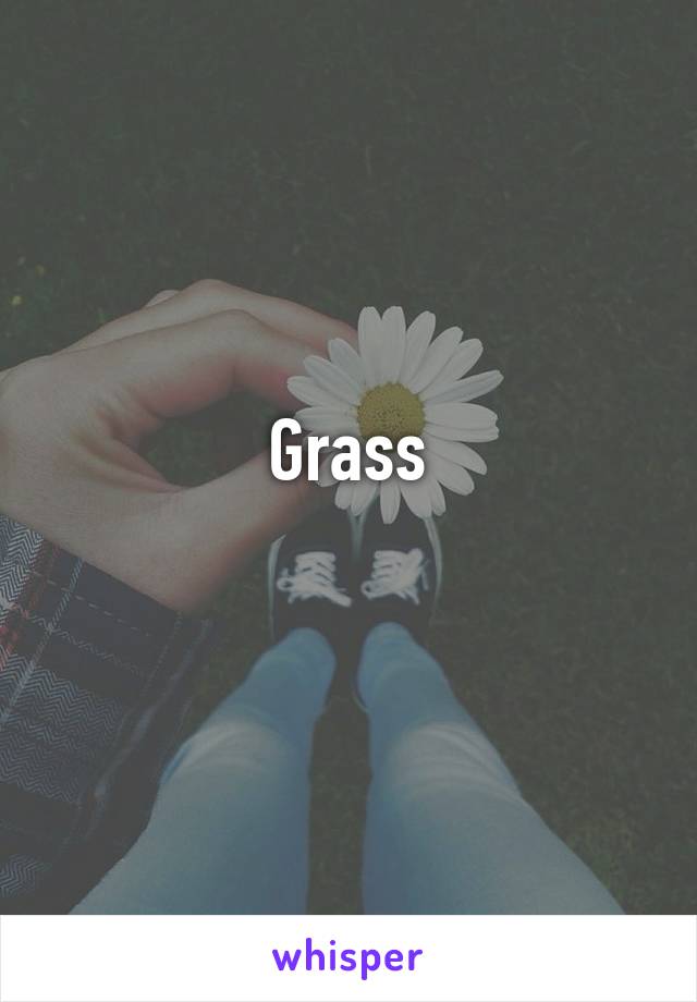 Grass
