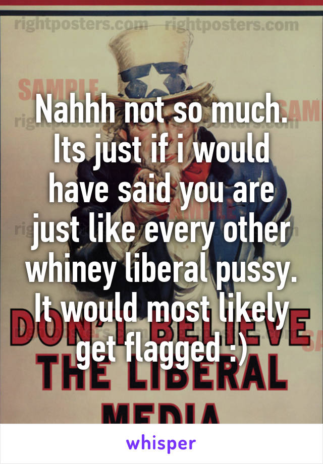 Nahhh not so much. Its just if i would have said you are just like every other whiney liberal pussy. It would most likely get flagged :)