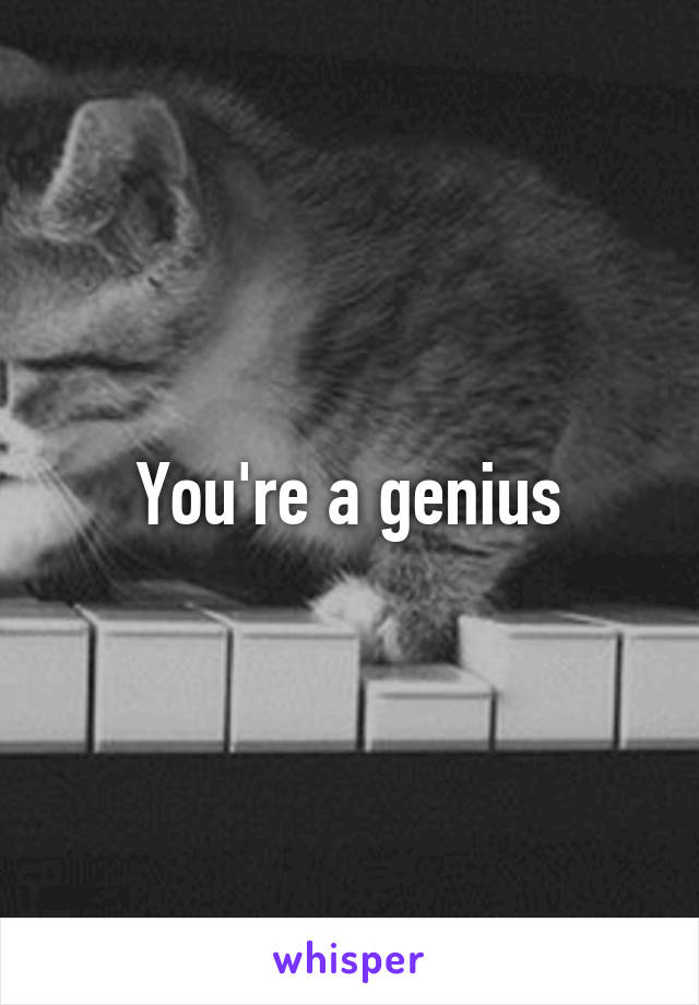 You're a genius