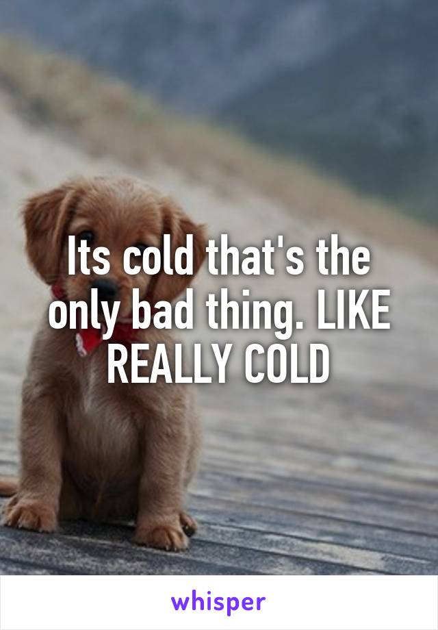 Its cold that's the only bad thing. LIKE REALLY COLD