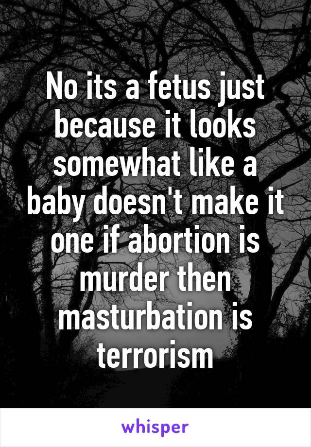 No its a fetus just because it looks somewhat like a baby doesn't make it one if abortion is murder then masturbation is terrorism