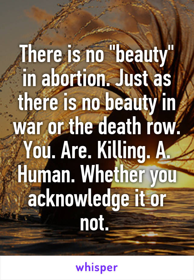 There is no "beauty" in abortion. Just as there is no beauty in war or the death row. You. Are. Killing. A. Human. Whether you acknowledge it or not. 