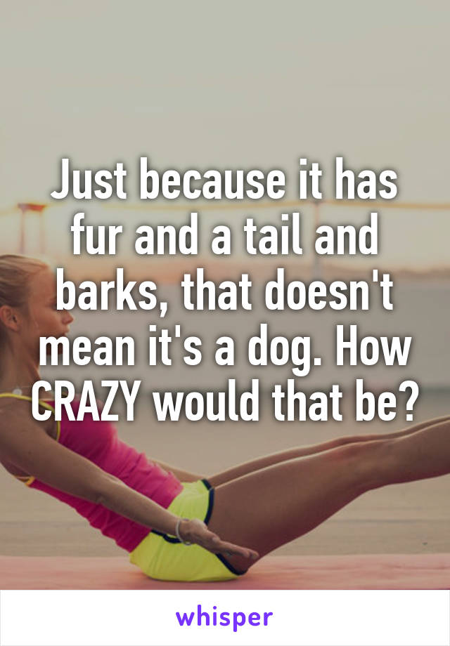 Just because it has fur and a tail and barks, that doesn't mean it's a dog. How CRAZY would that be? 