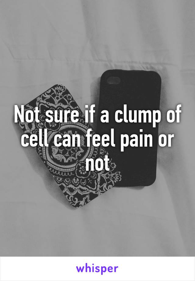 Not sure if a clump of cell can feel pain or not