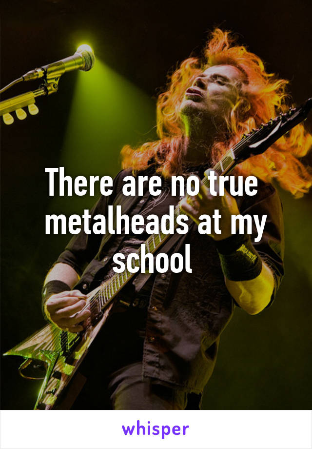 There are no true  metalheads at my school 