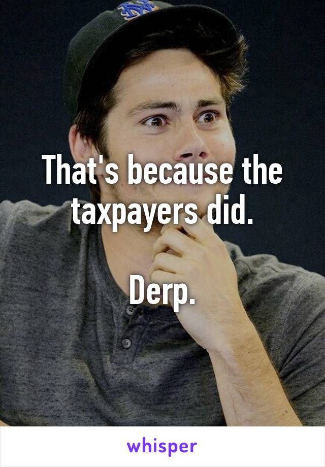 That's because the taxpayers did.

Derp.