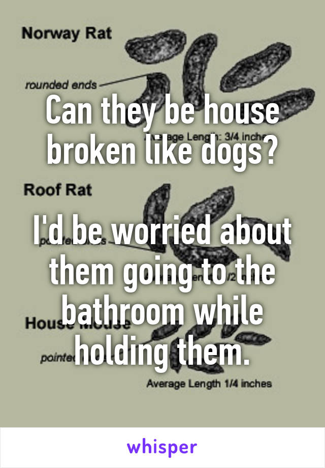 Can they be house broken like dogs?

I'd be worried about them going to the bathroom while holding them.