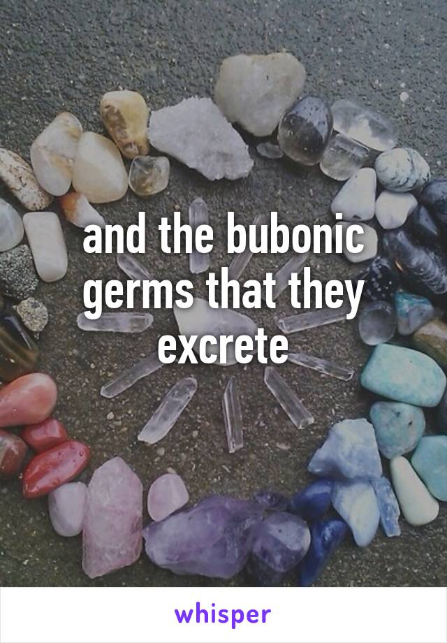 and the bubonic germs that they excrete
