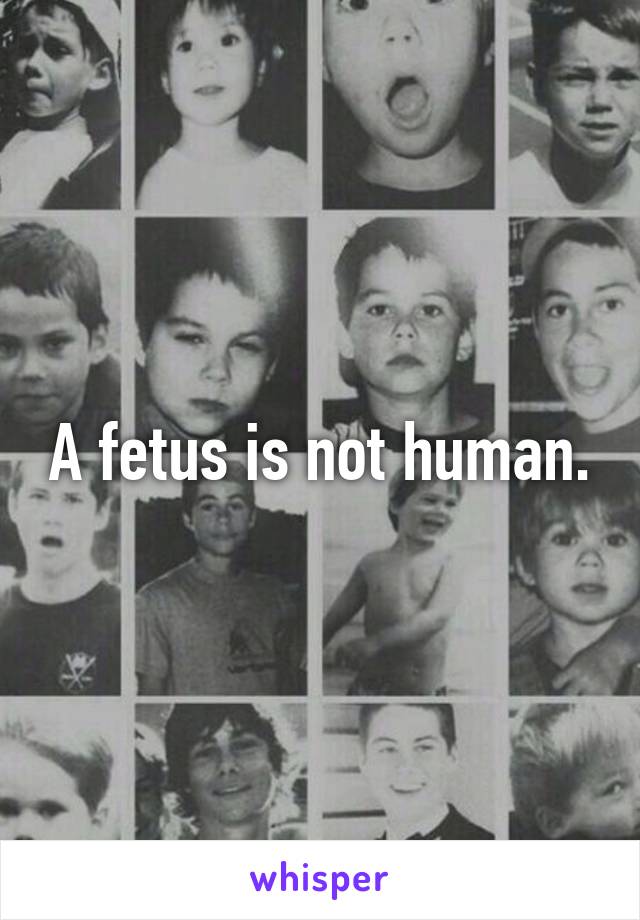 A fetus is not human.