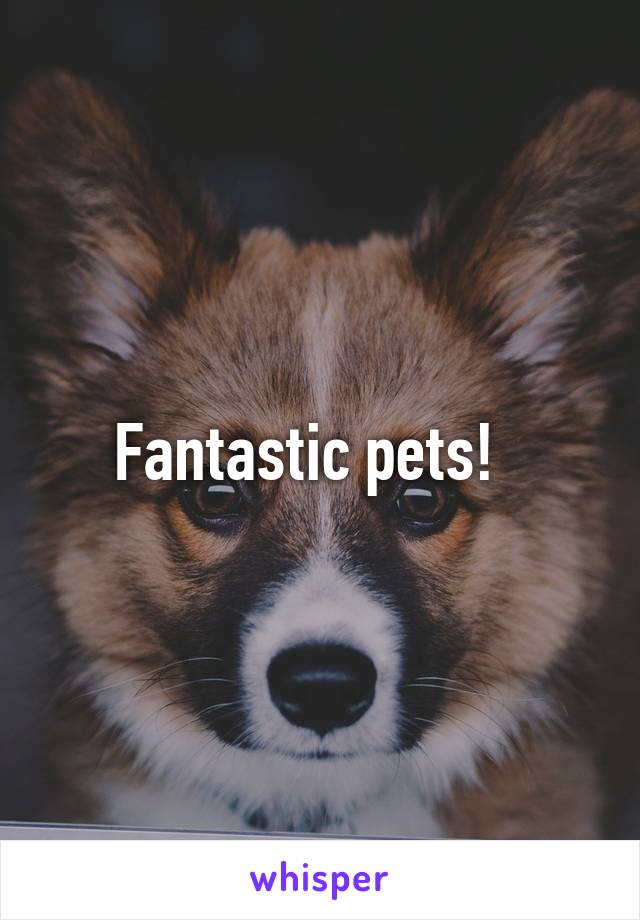Fantastic pets!  