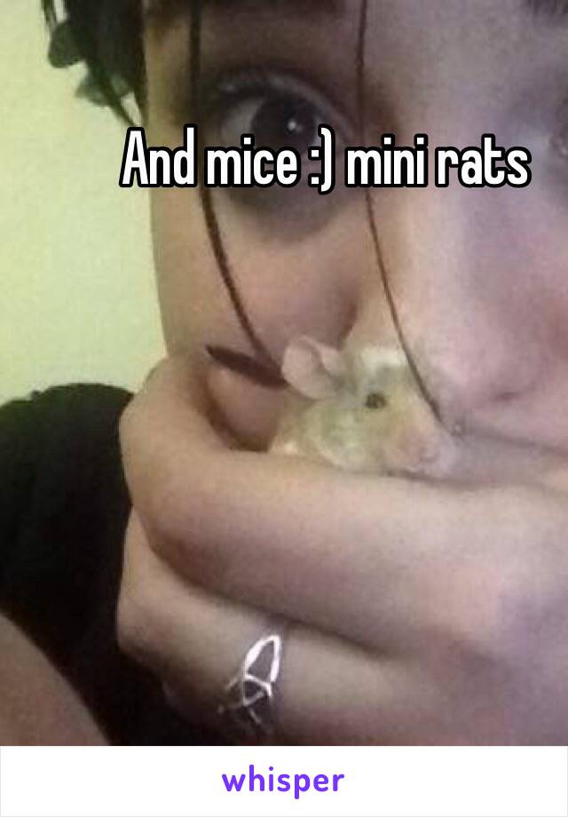 And mice :) mini rats 