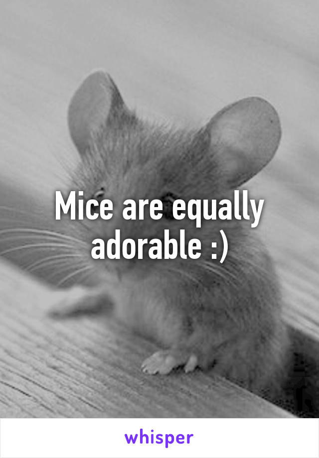 Mice are equally adorable :)