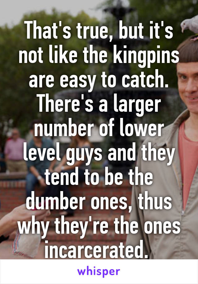 That's true, but it's not like the kingpins are easy to catch. There's a larger number of lower level guys and they tend to be the dumber ones, thus why they're the ones incarcerated. 