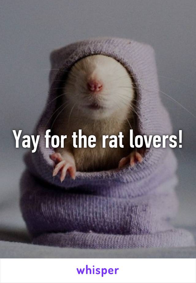 Yay for the rat lovers!