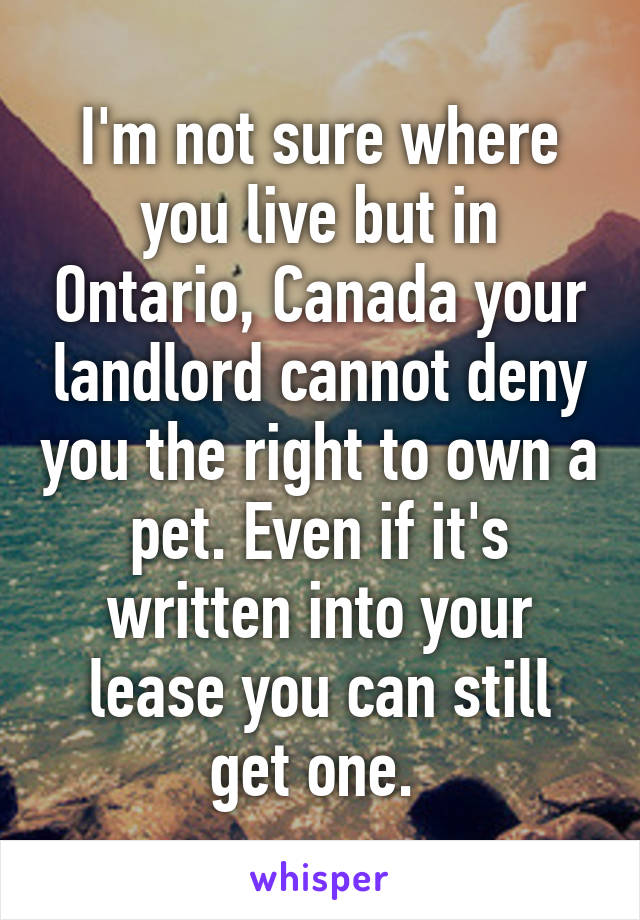 I'm not sure where you live but in Ontario, Canada your landlord cannot deny you the right to own a pet. Even if it's written into your lease you can still get one. 