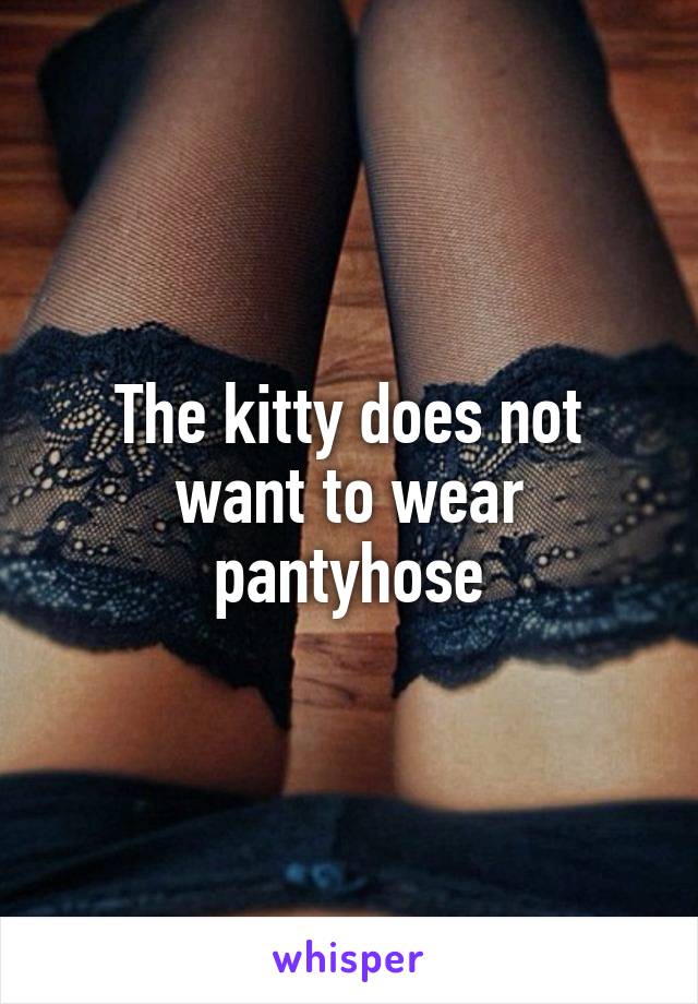 The kitty does not want to wear pantyhose