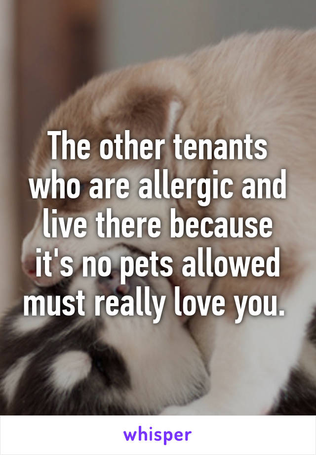 The other tenants who are allergic and live there because it's no pets allowed must really love you. 