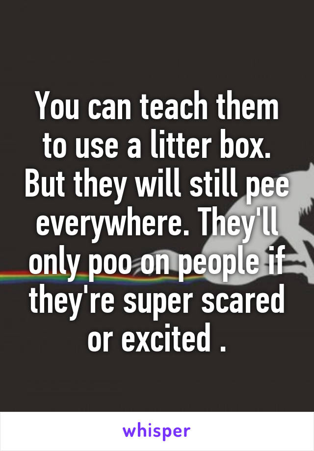 You can teach them to use a litter box. But they will still pee everywhere. They'll only poo on people if they're super scared or excited .