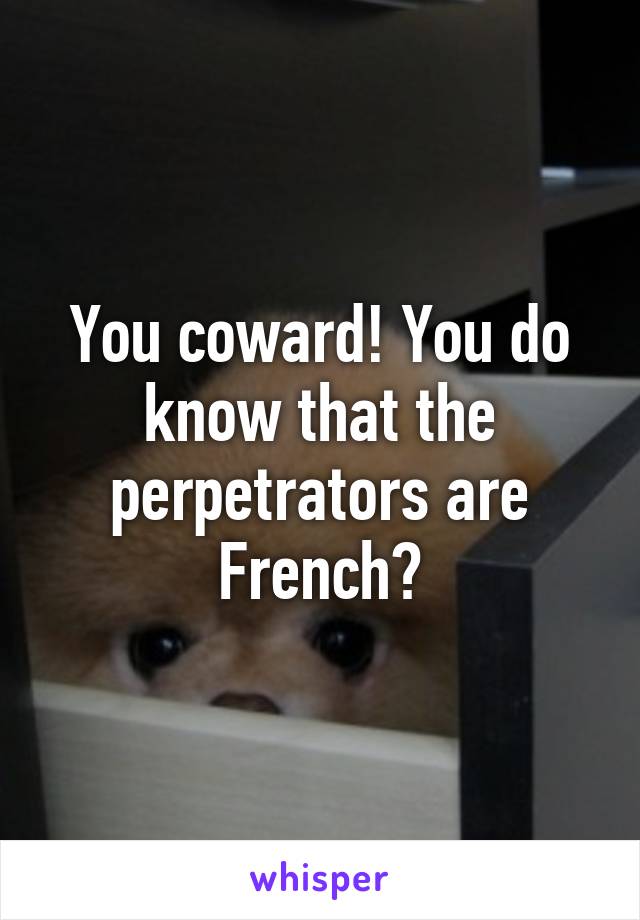 You coward! You do know that the perpetrators are French?