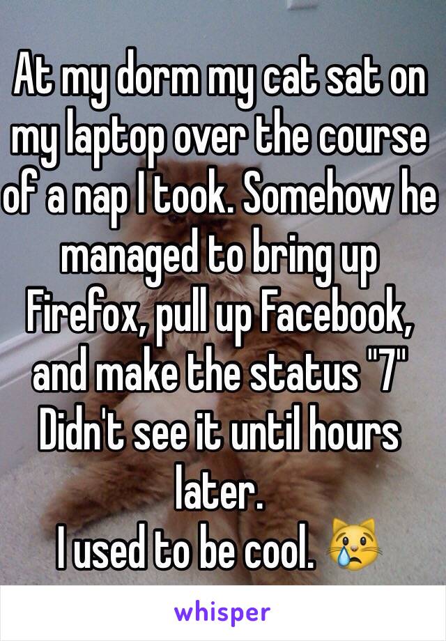 At my dorm my cat sat on my laptop over the course of a nap I took. Somehow he managed to bring up Firefox, pull up Facebook, and make the status "7"
Didn't see it until hours later.
I used to be cool. 😿