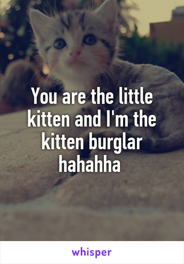 You are the little kitten and I'm the kitten burglar hahahha 