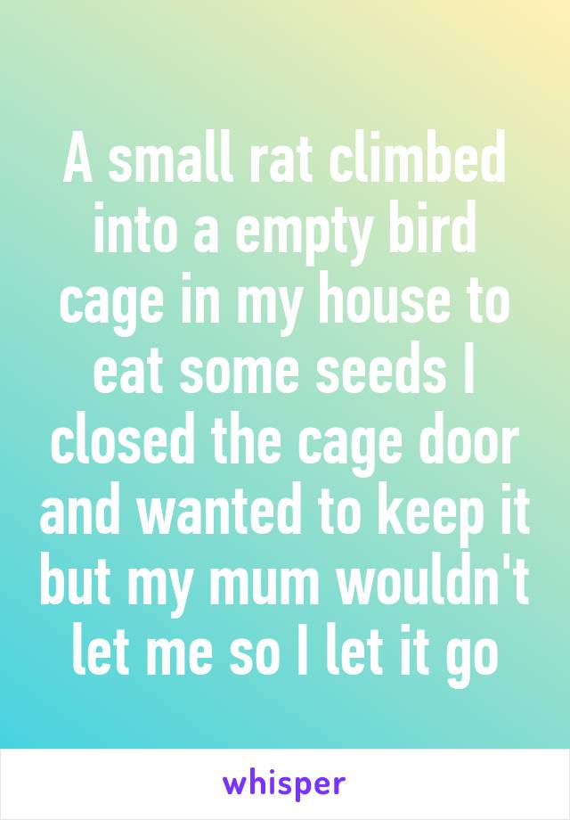 A small rat climbed into a empty bird cage in my house to eat some seeds I closed the cage door and wanted to keep it but my mum wouldn't let me so I let it go
