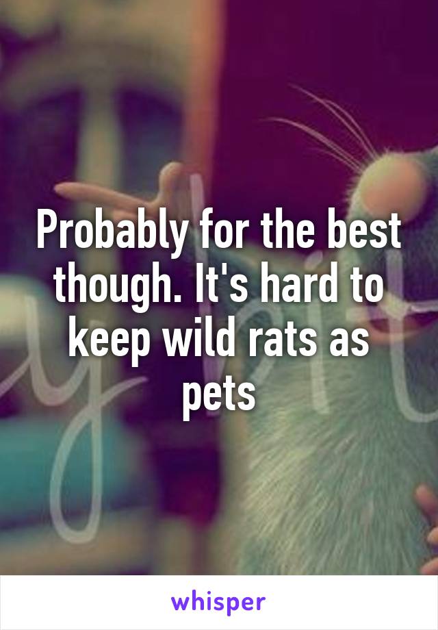 Probably for the best though. It's hard to keep wild rats as pets