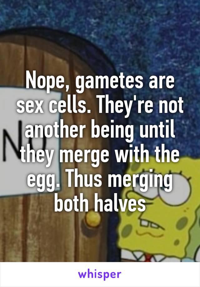 Nope, gametes are sex cells. They're not another being until they merge with the egg. Thus merging both halves