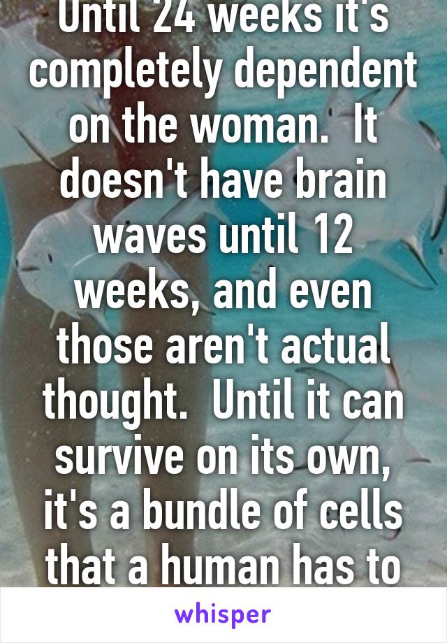 Until 24 weeks it's completely dependent on the woman.  It doesn't have brain waves until 12 weeks, and even those aren't actual thought.  Until it can survive on its own, it's a bundle of cells that a human has to bear.