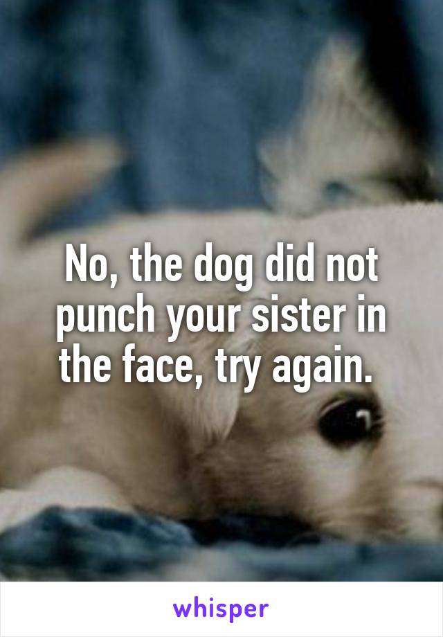 No, the dog did not punch your sister in the face, try again. 