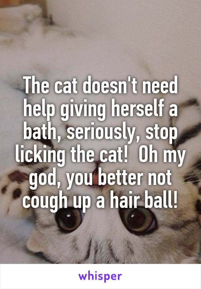 The cat doesn't need help giving herself a bath, seriously, stop licking the cat!  Oh my god, you better not cough up a hair ball!