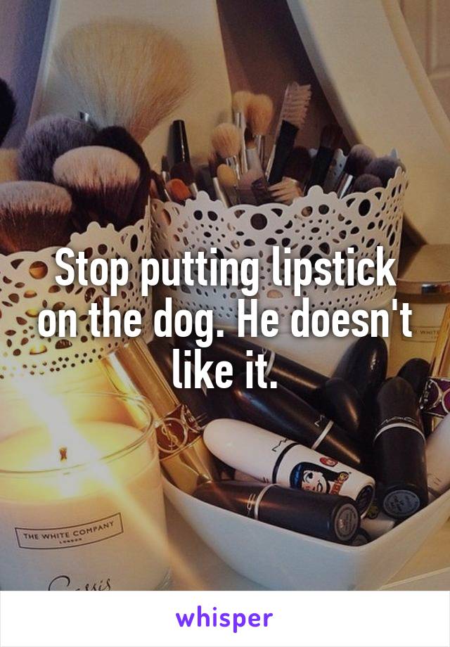 Stop putting lipstick on the dog. He doesn't like it.
