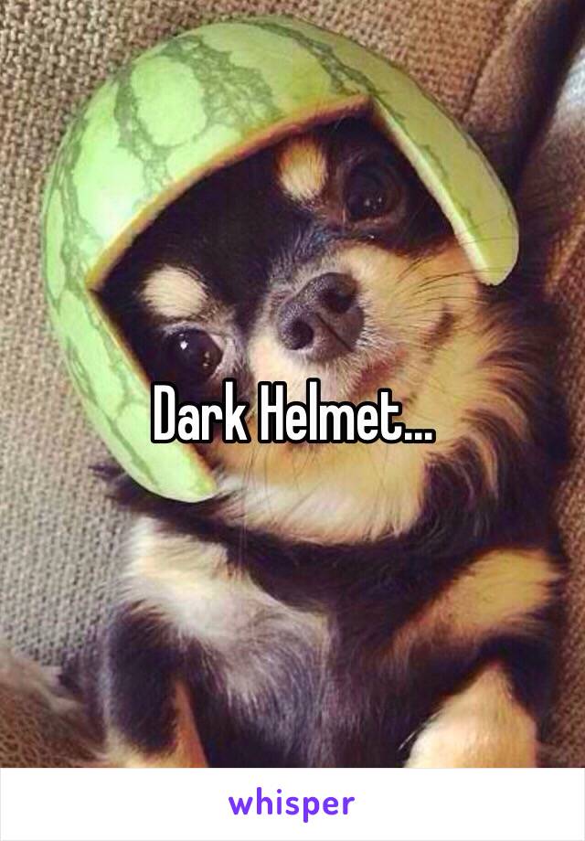 Dark Helmet…