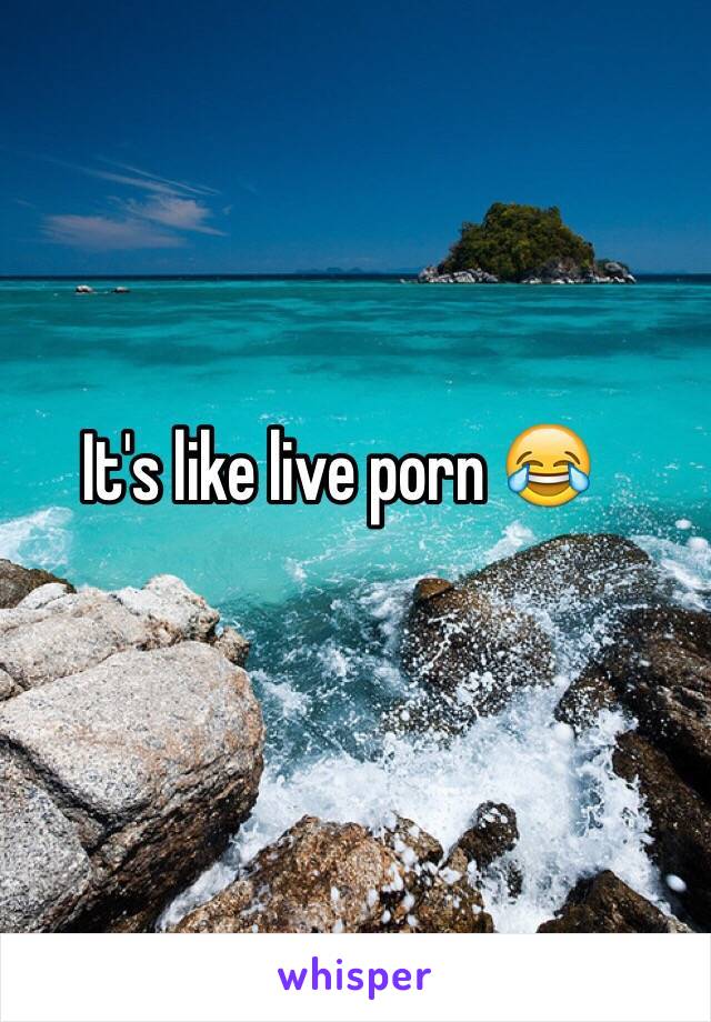 It's like live porn 😂