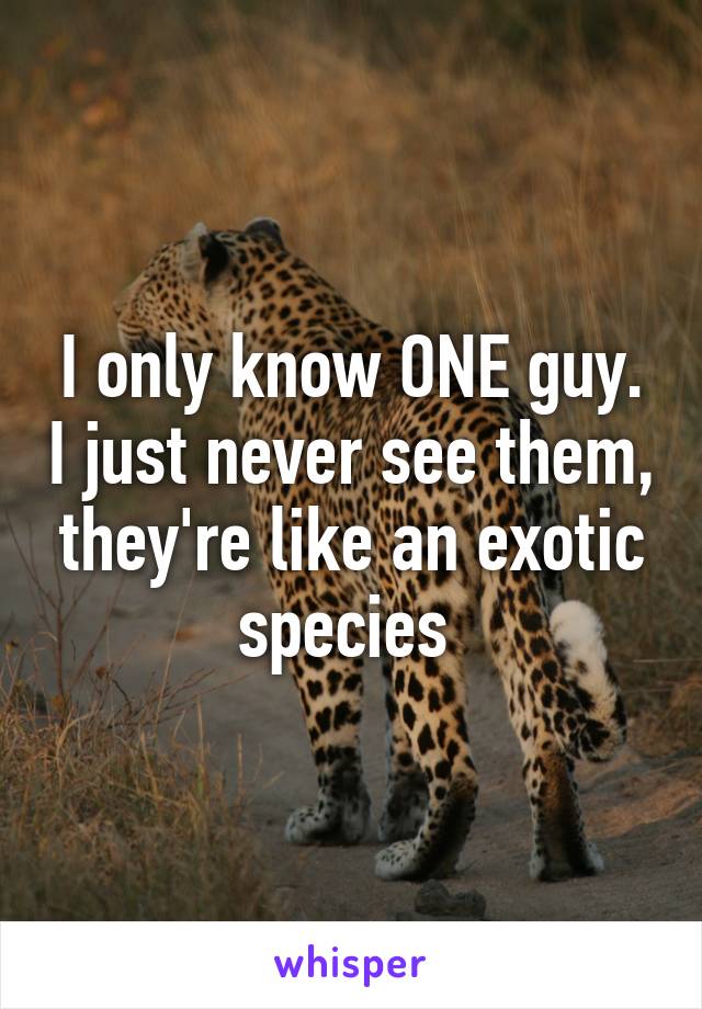 I only know ONE guy. I just never see them, they're like an exotic species 