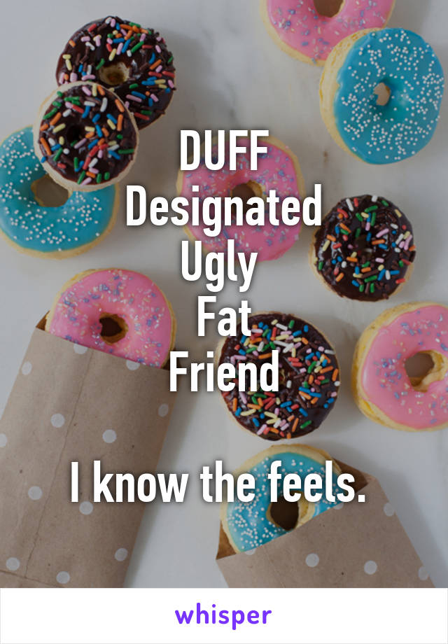 DUFF
Designated
Ugly 
Fat
Friend

I know the feels. 