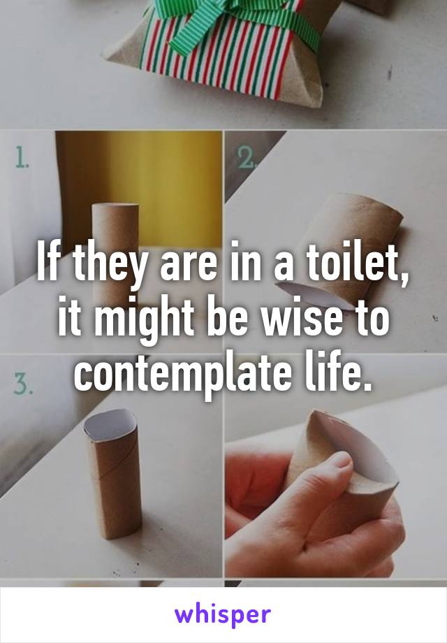 If they are in a toilet, it might be wise to contemplate life.
