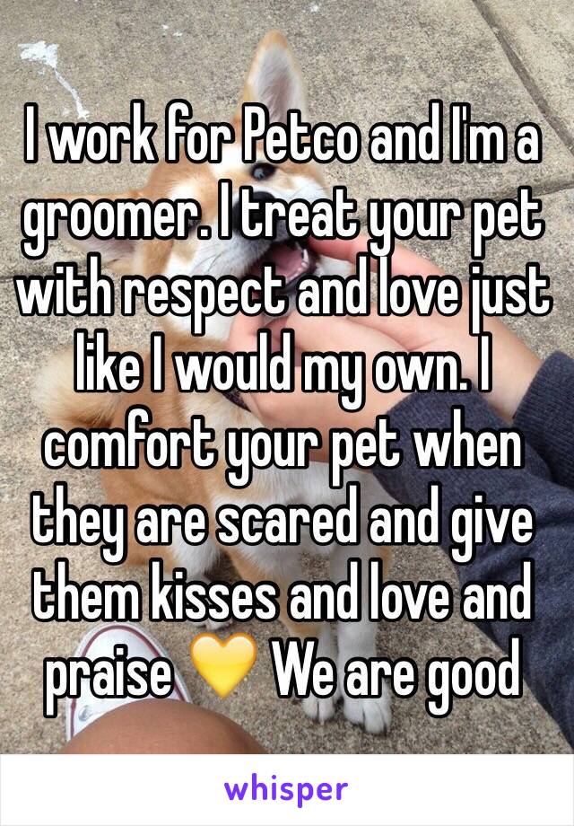 I work for Petco and I'm a groomer. I treat your pet with respect and love just like I would my own. I comfort your pet when they are scared and give them kisses and love and praise 💛 We are good 