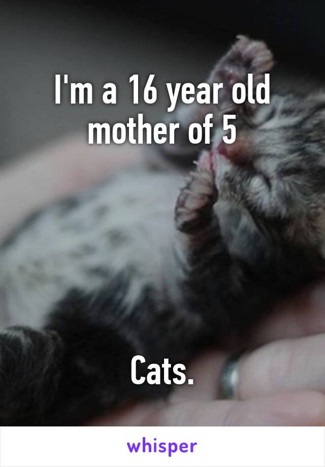 I'm a 16 year old mother of 5





Cats.