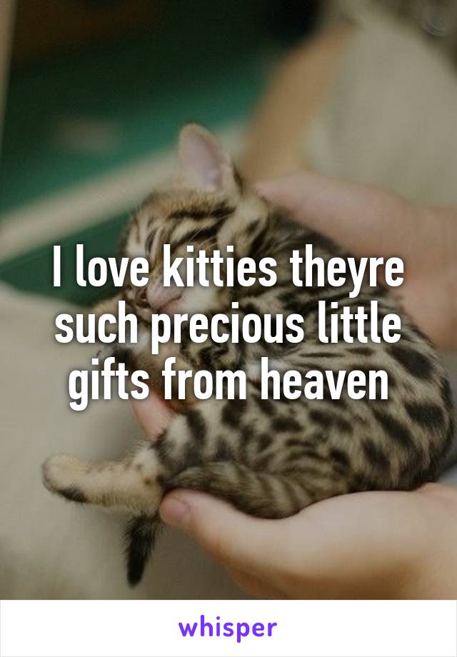 I love kitties theyre such precious little gifts from heaven