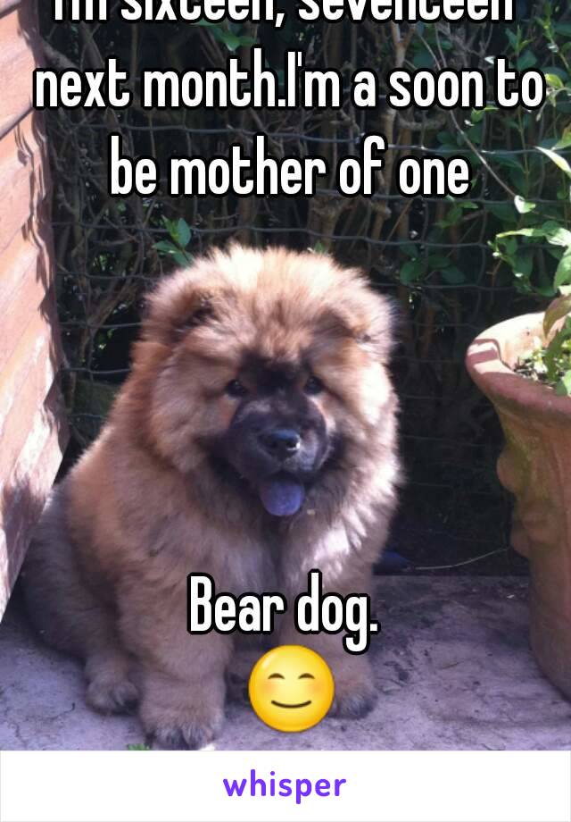 I'm sixteen, seventeen next month.I'm a soon to be mother of one




Bear dog. 😊.