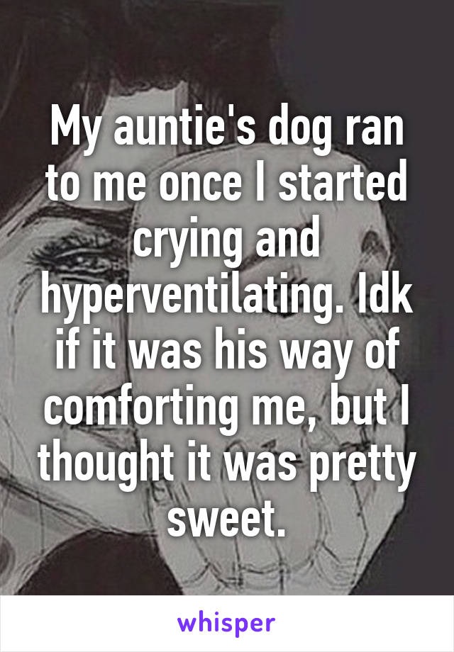 My auntie's dog ran to me once I started crying and hyperventilating. Idk if it was his way of comforting me, but I thought it was pretty sweet.