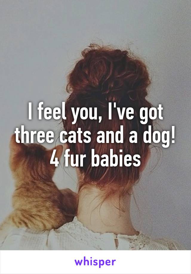 I feel you, I've got three cats and a dog! 4 fur babies